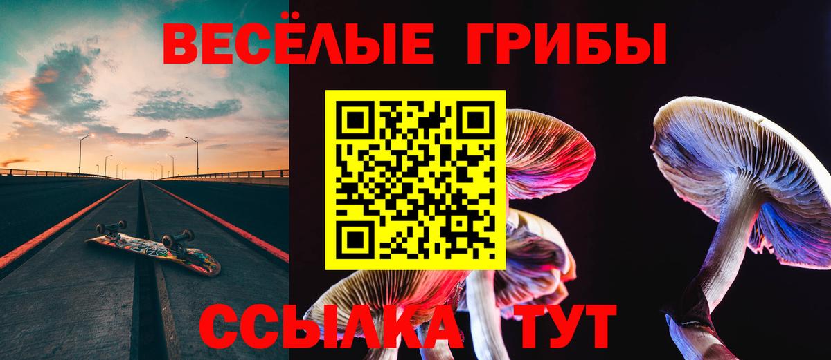 Псилоцибиновые грибы прущие грибы  закладка  Богородицк  Вход с VPN 